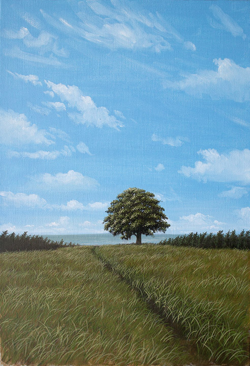 どこまでも歩こう。/walk forever